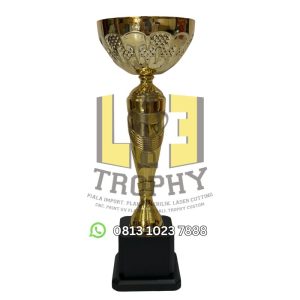 Trophy-WSC